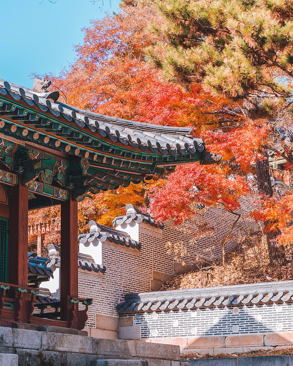 Chuseok Holiday, Korean Thanksgiving